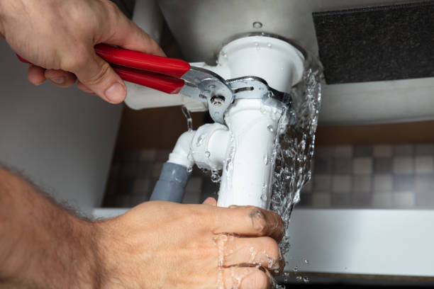 Best 24/7 water damage repair  in Farmington, MN