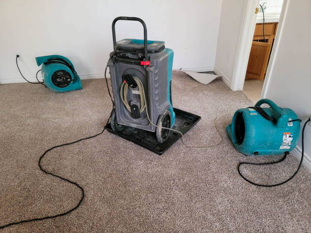 Best Emergency water damage restoration  in Farmington, MN