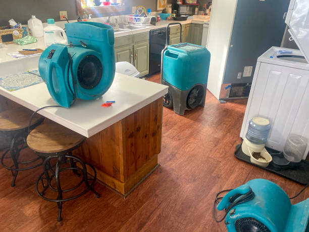 Best Basement water damage restoration  in Farmington, MN