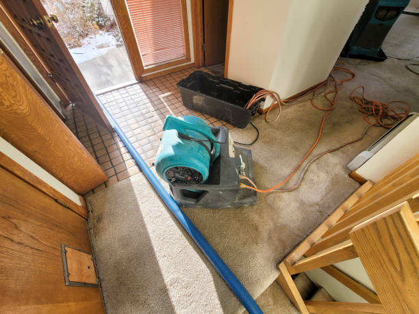 Best Sewage cleanup and water damage restoration  in Farmington, MN