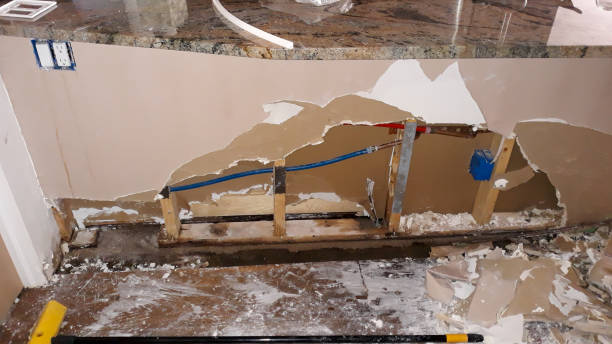 Best Water damage restoration process  in Farmington, MN