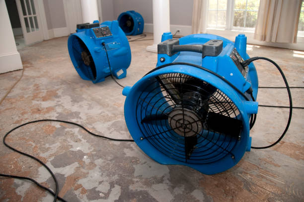 Best Water damage cleanup near me  in Farmington, MN