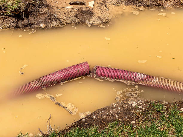 Best Water damage restoration near me  in Farmington, MN