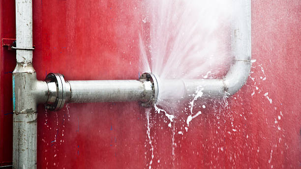 Best Water damage restoration services  in Farmington, MN